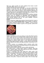 Konspekts 'Augu audu veidi', 7.