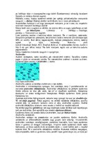 Konspekts 'Augu audu veidi', 9.