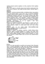 Konspekts 'Augu audu veidi', 12.