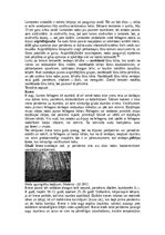 Konspekts 'Augu audu veidi', 14.