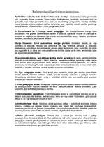 Konspekts 'Reformpedagoģijas virzienu raksturojums', 1.