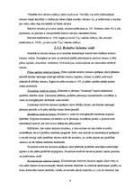 Referāts 'Valsts budžets', 9.