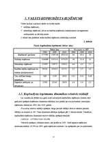 Referāts 'Valsts budžets', 13.