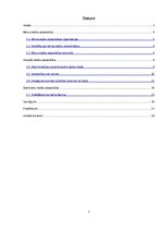 Referāts 'Atsevišķu personu kategoriju (bērnu, sieviešu, darbinieku) tiesību aizsardzība', 2.