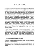 Referāts 'Atsevišķu personu kategoriju (bērnu, sieviešu, darbinieku) tiesību aizsardzība', 9.