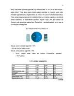 Referāts 'Akcijas, vērtspapīru tirgus', 11.