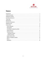 Paraugs 'Biznesa plāns', 2.