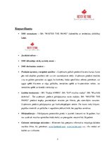 Paraugs 'Biznesa plāns', 3.