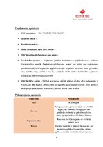 Paraugs 'Biznesa plāns', 4.