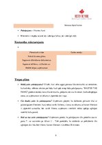 Paraugs 'Biznesa plāns', 5.