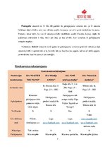 Paraugs 'Biznesa plāns', 7.