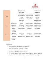 Paraugs 'Biznesa plāns', 8.