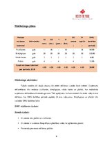 Paraugs 'Biznesa plāns', 9.