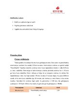 Paraugs 'Biznesa plāns', 10.