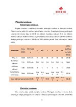 Paraugs 'Biznesa plāns', 13.