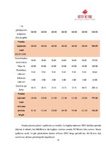 Paraugs 'Biznesa plāns', 15.