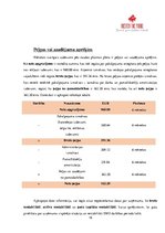 Paraugs 'Biznesa plāns', 16.