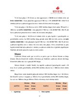 Paraugs 'Biznesa plāns', 17.