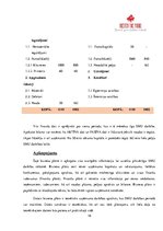 Paraugs 'Biznesa plāns', 18.