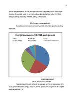 Referāts 'Energoresursu problēmas pasaulē', 12.