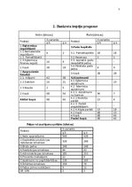 Paraugs 'Finanšu analīze un riski', 5.