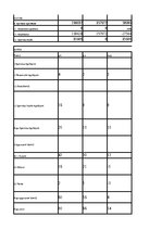 Paraugs 'Finanšu analīze un riski', 7.