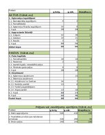 Paraugs 'Finanšu analīze un riski', 9.