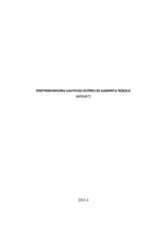 Referāts 'Postmodernisma galvenās iezīmes 20.gadsimta mākslā', 1.