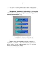 Referāts 'Reklāmas kampaņa', 11.