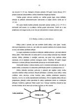 Referāts 'Reklāmas kampaņa', 16.