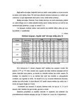 Referāts 'Reklāmas kampaņa', 25.