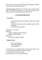 Referāts 'Amerikas Savienotās Valstis', 28.