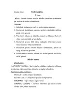 Konspekts 'Integrētās stundas konspekts', 1.