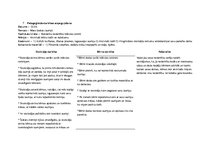 Prakses atskaite 'Aktīvā mācību un audzināšanas prakse pirmsskolā', 12.