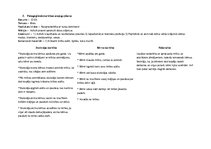 Prakses atskaite 'Aktīvā mācību un audzināšanas prakse pirmsskolā', 14.