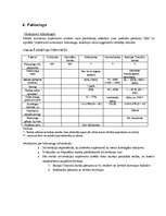 Referāts 'Banku informācijas analīze', 7.