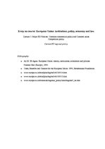 Eseja 'Major EU Policies: Common Commercial Policy and Customs Union. Competition Polic', 1.