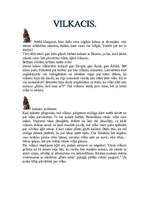 Konspekts 'Vilkacis', 1.