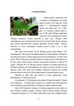 Referāts 'Atjaunojamo enerģijas avotu izmantošanas iespējas Latvijā', 17.