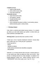 Konspekts 'Pitlokrijas teātra festivāla mārketinga analīze', 4.