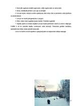 Referāts 'Kalni', 17.