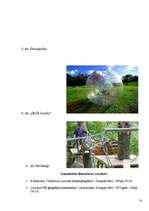 Referāts 'Kalni', 18.