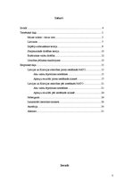 Referāts 'Attiecību izmaiņas ar Krieviju pēc Latvijas iestāšanās NATO', 3.