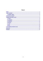 Referāts 'Interneta provaideri Latvijā', 4.