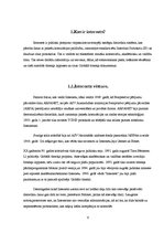 Referāts 'Interneta provaideri Latvijā', 6.