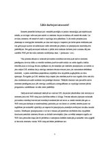 Referāts 'Interneta provaideri Latvijā', 7.