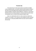Referāts 'Interneta provaideri Latvijā', 20.