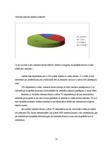 Referāts 'Interneta provaideri Latvijā', 24.