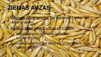 Prezentācija 'Auzas un griķi, to vērtība un izmantošanas iespējas', 8.