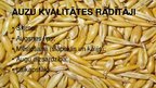 Prezentācija 'Auzas un griķi, to vērtība un izmantošanas iespējas', 11.